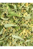 Ihlamur 100 gr thumbnail 6