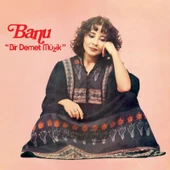 Banu Bir Demet Müzik - Plak thumbnail 1