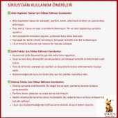 925 Gümüş - Ginkgo Kolye thumbnail 3