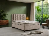 İmaj  NEST BASLIK thumbnail 3