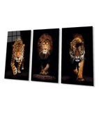 Aslan,kaplan,jaguar 3 Lü Set Cam Tablo thumbnail 7