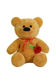 Pababo 55 Cm Elinde Gül Tutan Ayıcık thumbnail 1