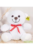 Pababo 25 cm Peluş Çiçek Ayı thumbnail 1