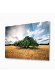 Doğa Cam Tablo 4mm Dayanıklı Temperli Cam thumbnail 1