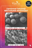 Kiperin Multivitamin Lipozomal 30 Kapsül thumbnail 6
