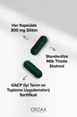 Ocean Milk Thistle 30 Tablet thumbnail 3