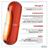 Nbt Life Krill Oil 30 Kapsül thumbnail 2