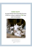 Golden Goat 3 Devam Keçi Sütü 400 gr 4 Adet thumbnail 2