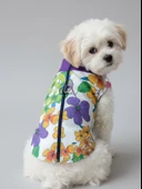 Flora Rain Küçük Köpek Yağmurluk Ceket thumbnail 1