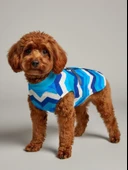 Surf Rain Küçük Köpek Yağmurluk Ceket thumbnail 5