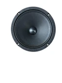 XETEC SPA-2018FR 20CM MİDRANGE thumbnail 2