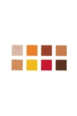 Revolution Palette Sombras Soph X - Mini Spice thumbnail 3