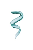 Revolution Ultimate Lights Chromatic Eyeliner thumbnail 3