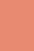 Pretty Ruj- By Flormar Mat Lipstick 10 Pale thumbnail 3