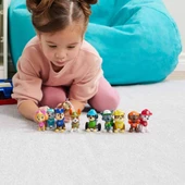 Spin Master Paw Patrol Hediye Figür Seti 6065255 thumbnail 5