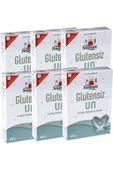 Sinangil Glutensiz Un 500 gr * 6adet thumbnail 1