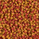 Tetra Cichlid Colour Mini Granules 500 G Açık thumbnail 2