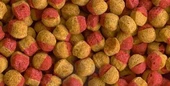 Tetra Cichlid Colour Mini Granules 500 G Açık thumbnail 1