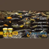 Tropical 3 Algae Tablets B Tablet Balık Yemi 250 G thumbnail 5