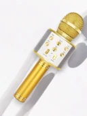 KAREOKE  MIKROFON thumbnail 4