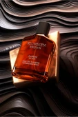 Gabrini Richmen Brown EDT For Man 100 ml thumbnail 3
