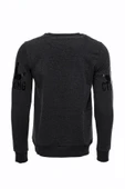 Gri Taşlı Baskılı Kapşonşlu Sweatshirt - Wessi thumbnail 3