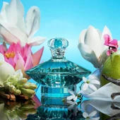 Britney Spears Curious EDP 100 ml Kadın Parfümü thumbnail 3