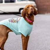 GF Pet Graphic Tee Köpek Tshirt Aqua XLarge thumbnail 3