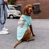 GF Pet Graphic Tee Köpek Tshirt Aqua Small thumbnail 4