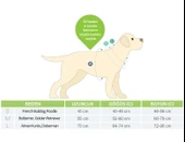 Max Molly Duckling Köpek Bornozu Pembe Medium thumbnail 5