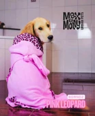 Max Molly Duckling Köpek Bornozu Pembe Medium thumbnail 4