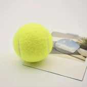Köpek Oyun Topu Tenis Topu thumbnail 6