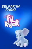Selpak ® Kağıt Havlu 12'li thumbnail 6