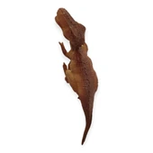 Hayvan Figürleri - Dinazor Figürü 13 cm - Carnotaurus thumbnail 3