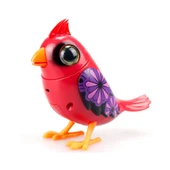 Digibirds Tekli Paket Seri 1 88600 thumbnail 3