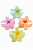 Lotus Toka 8 cm thumbnail 1