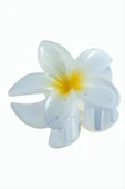 Lotus Toka 8 cm thumbnail 8