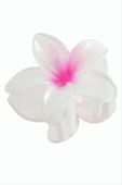Lotus Toka 8 cm thumbnail 5