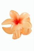 Lotus Toka 8 cm thumbnail 9