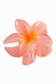 Lotus Toka 8 cm thumbnail 6