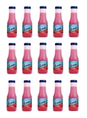 Link Çilek Aromalı İçecek 200 Ml X 15 Adet thumbnail 1