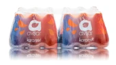 Avşar Karamix 200 Ml X 24 Adet thumbnail 1