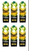 Cappy Ananslı İçecek 1 Lt X 6 Adet thumbnail 1