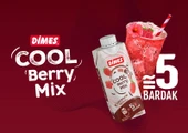 Dimes Cool Beryy Mix 310 Ml X 12 Adet thumbnail 2