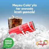 Meysu Kola 330 Ml X 24 Adet thumbnail 3