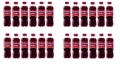 Doğanay Şalgam Suyu Acılı 300 Ml X 24 Adet thumbnail 1