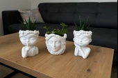 Altın Kızlar 3 lü Sukulent Set thumbnail 2