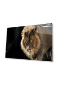Aslan Cam Tablo 4mm Dayanıklı Temperli Cam thumbnail 1