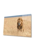 Aslan Cam Tablo 4mm Dayanıklı Temperli Cam thumbnail 1