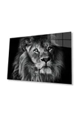 Aslan Cam Tablo 4mm Dayanıklı Temperli Cam thumbnail 1